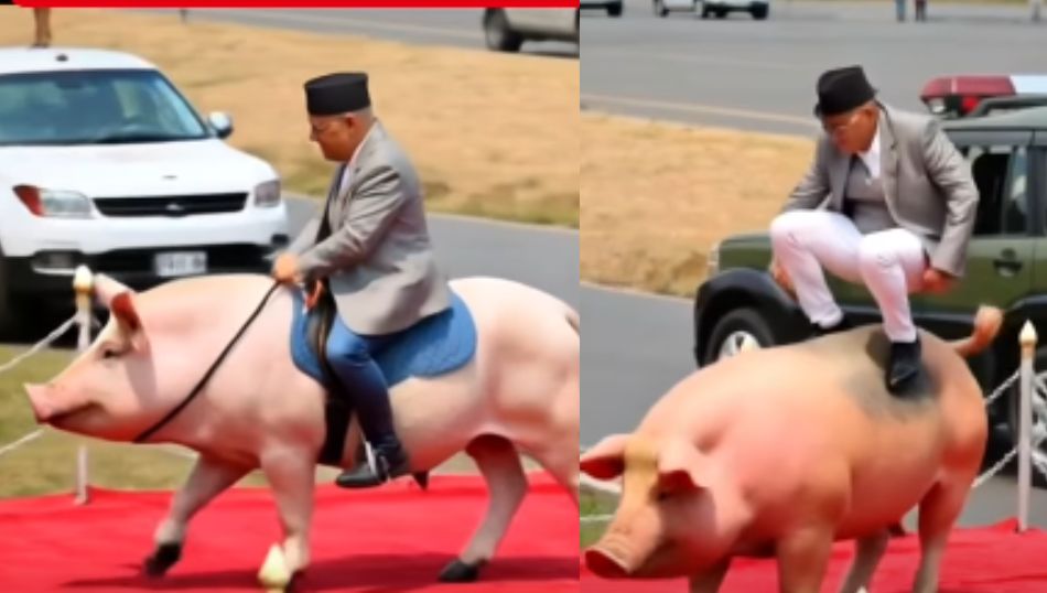 Chipfake Videos Raise Concerns in Nepal: Easy to Make, Hard to Ignore